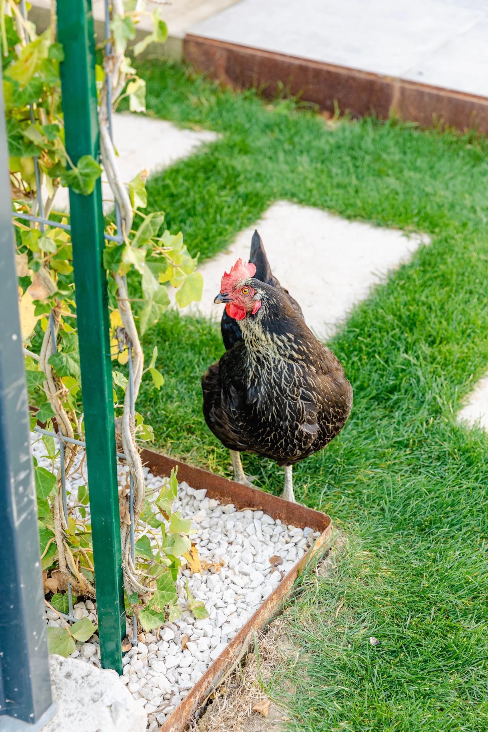 TOMPOUSSE un jardin qui vous ressemble paysagiste bas rhin