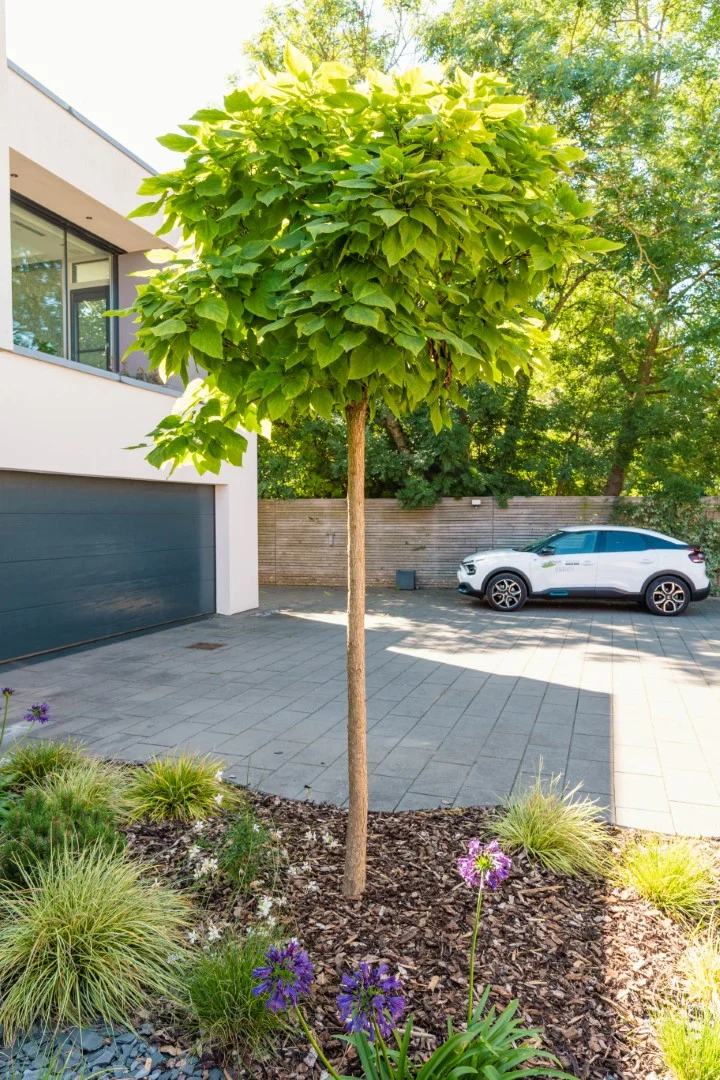 3 tom pousse paysage désherbage massifs plantations