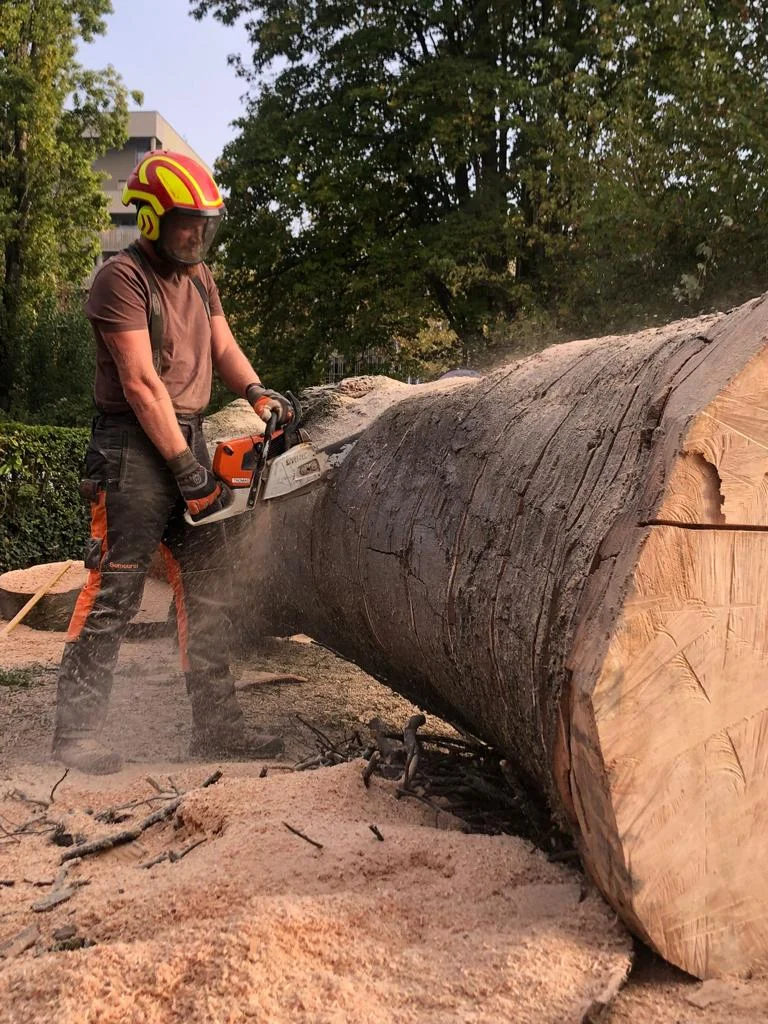 accueil – collaborateur elagage