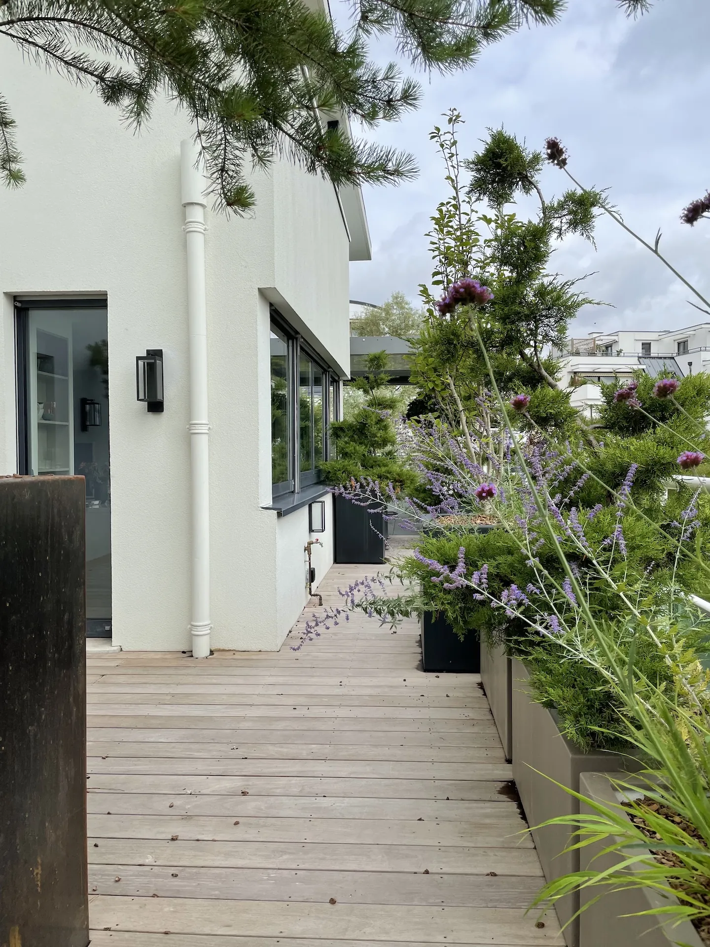 tom mpousse paysage plantation bac attique terrasse strasbourg