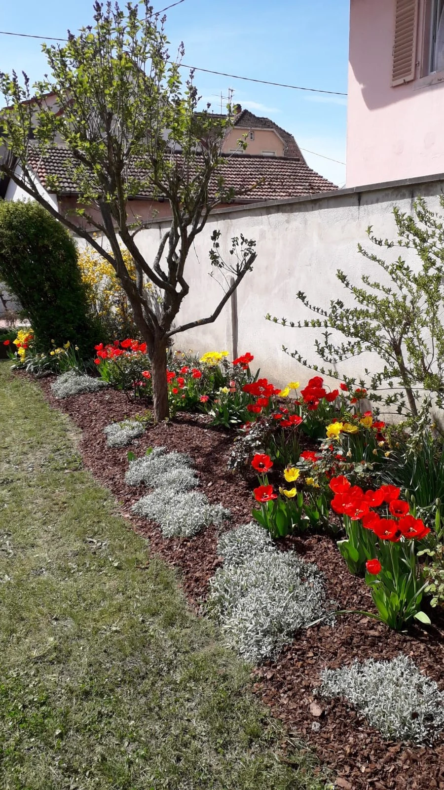 tom pouce service désherbage massif jardin