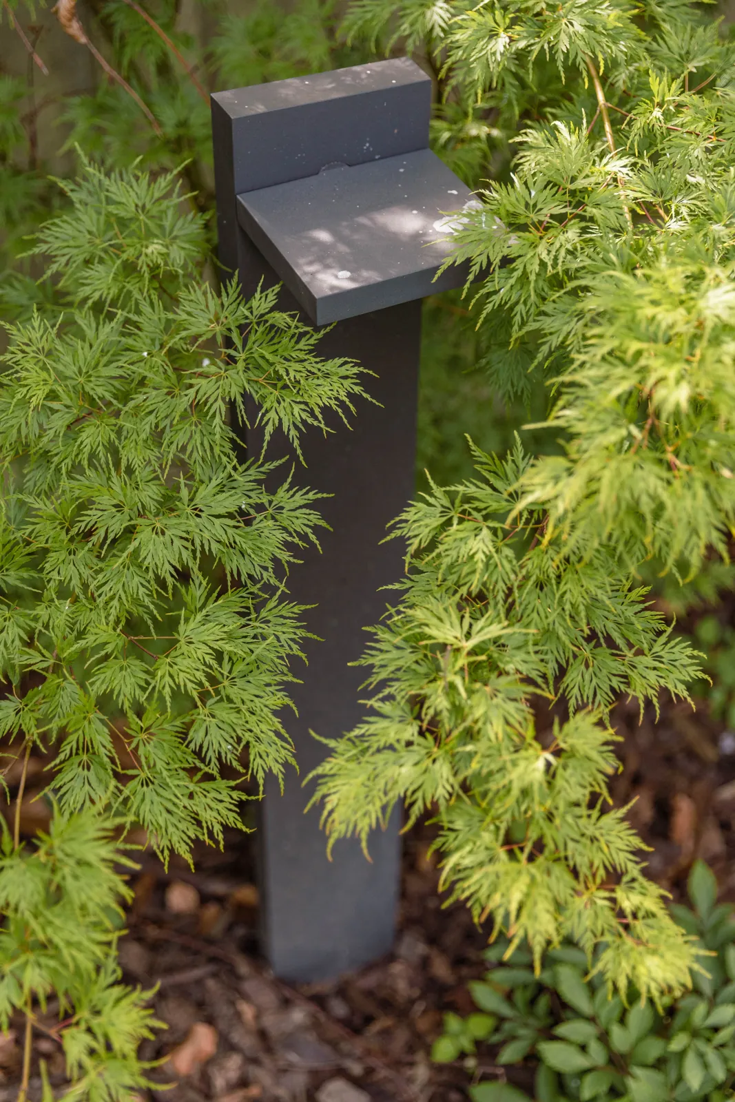 tom pouse paysage éclairage extérieur sur mesure bas rhin