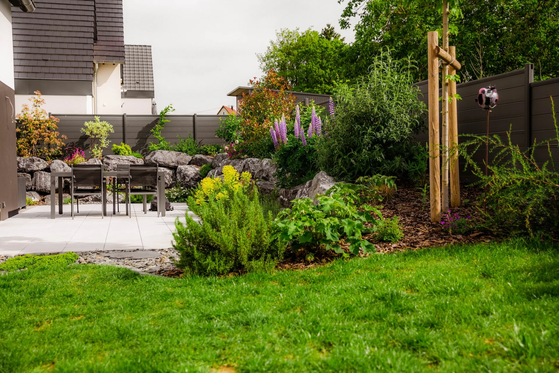 Image principale du projet