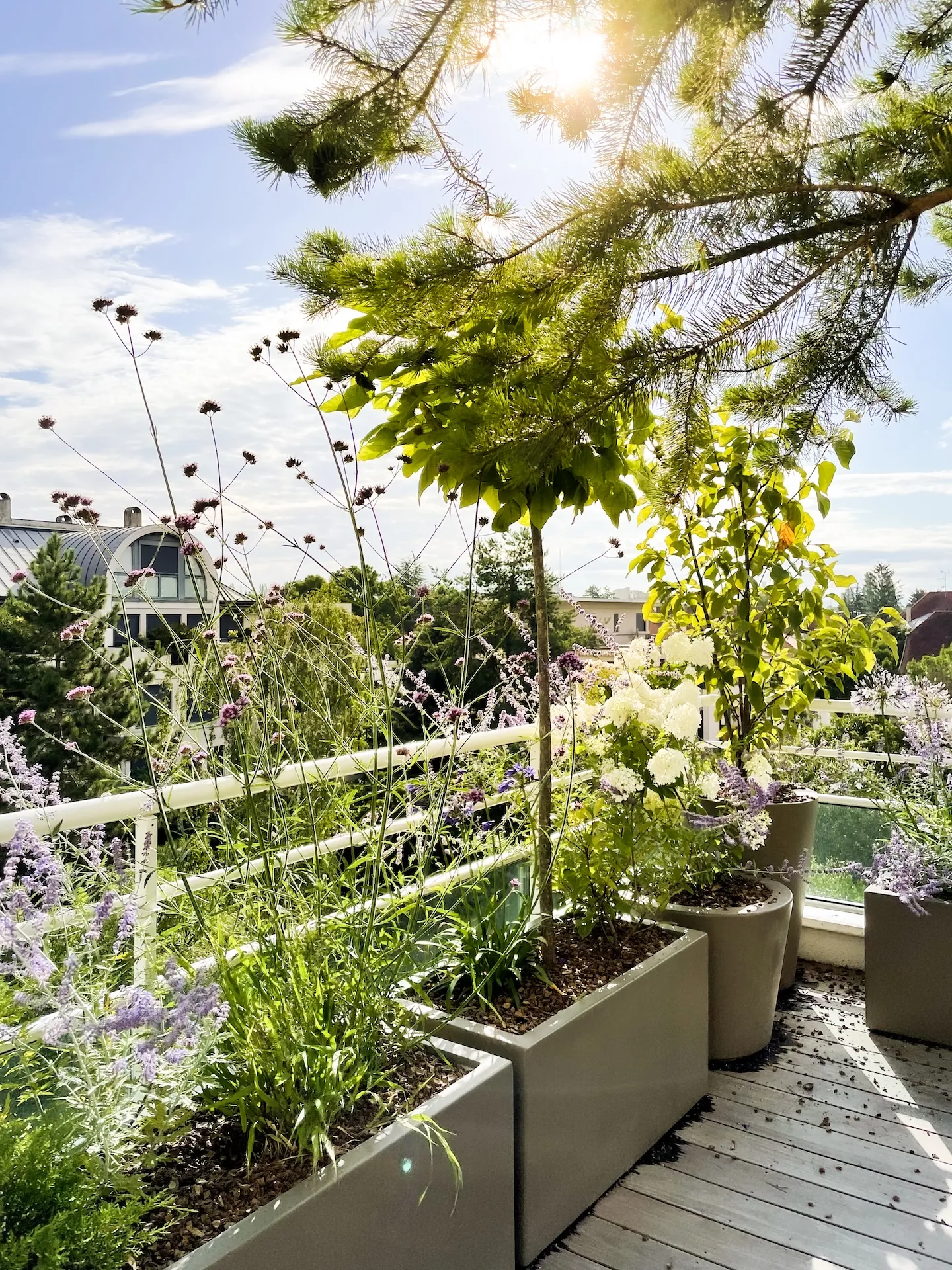 tom pousse paysage améngement terrasse attique strasbourg bas rhin Image principale du projet