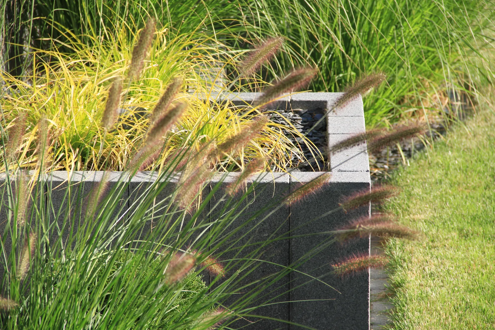 tom pousse paysage bac plantation palissade granit graminées