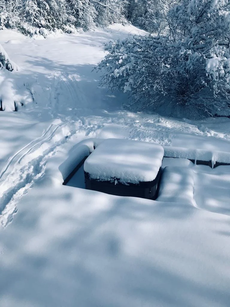 tom pousse paysage hivernage piscine et spa alsace