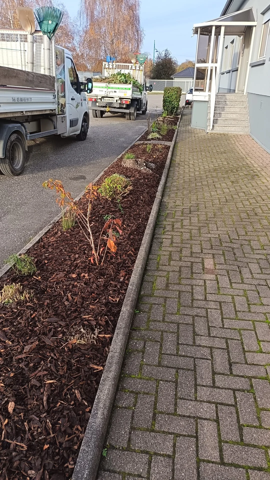 tom pousse paysage paillage mulch écorce massifs plantations