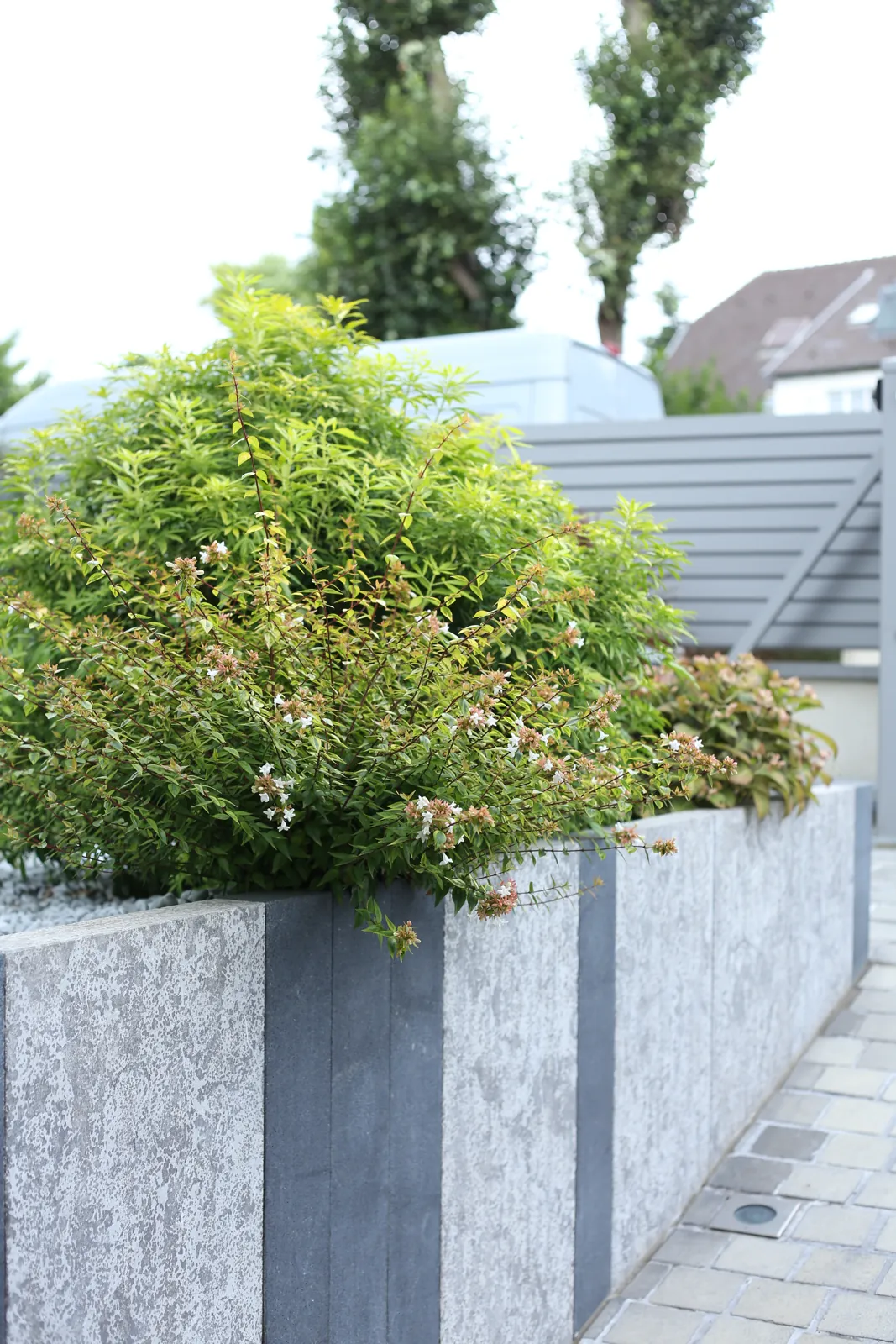 tom pousse paysage palissade descente garage illkirch