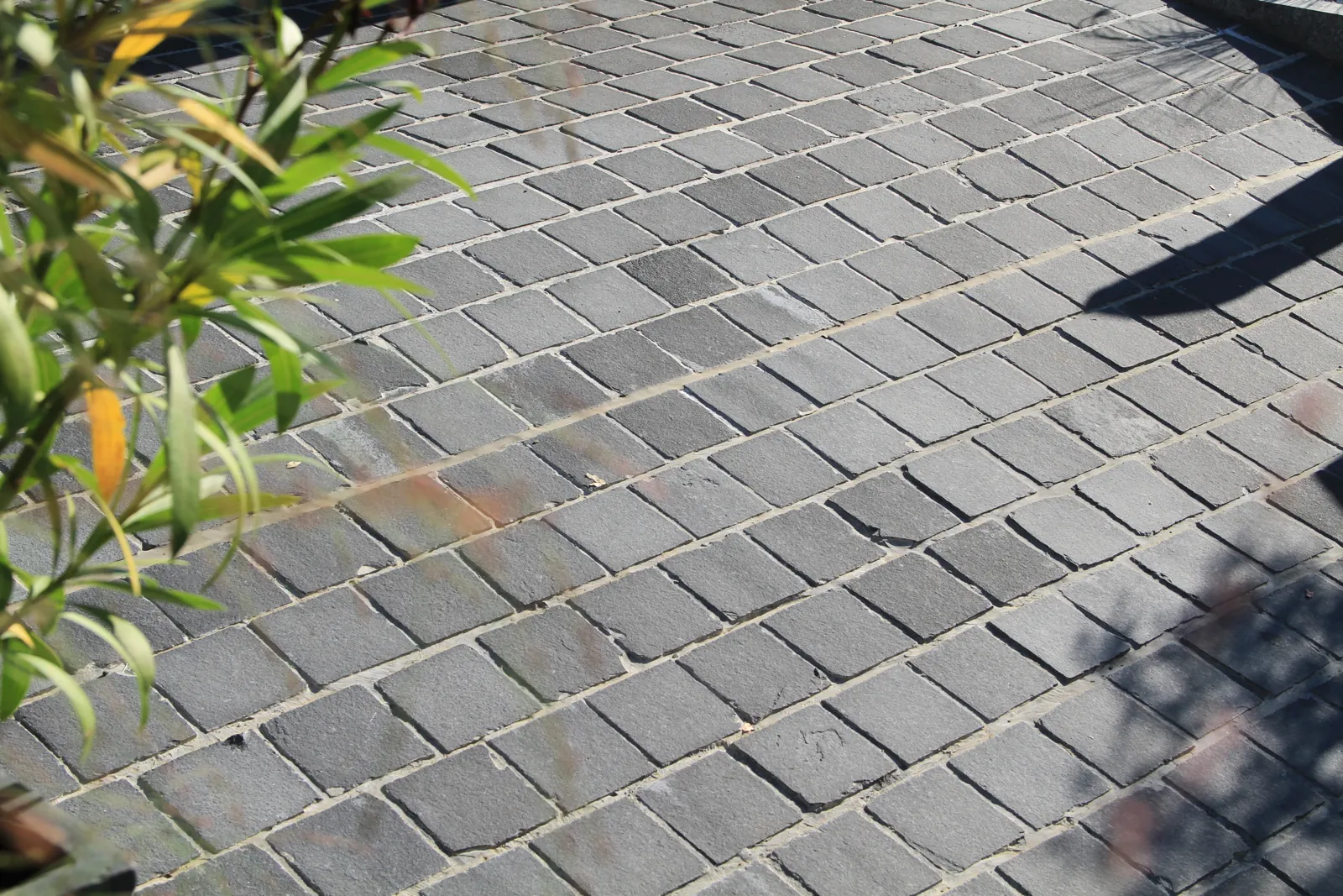 tom pousse paysage pavage cour descente de garage illkirch