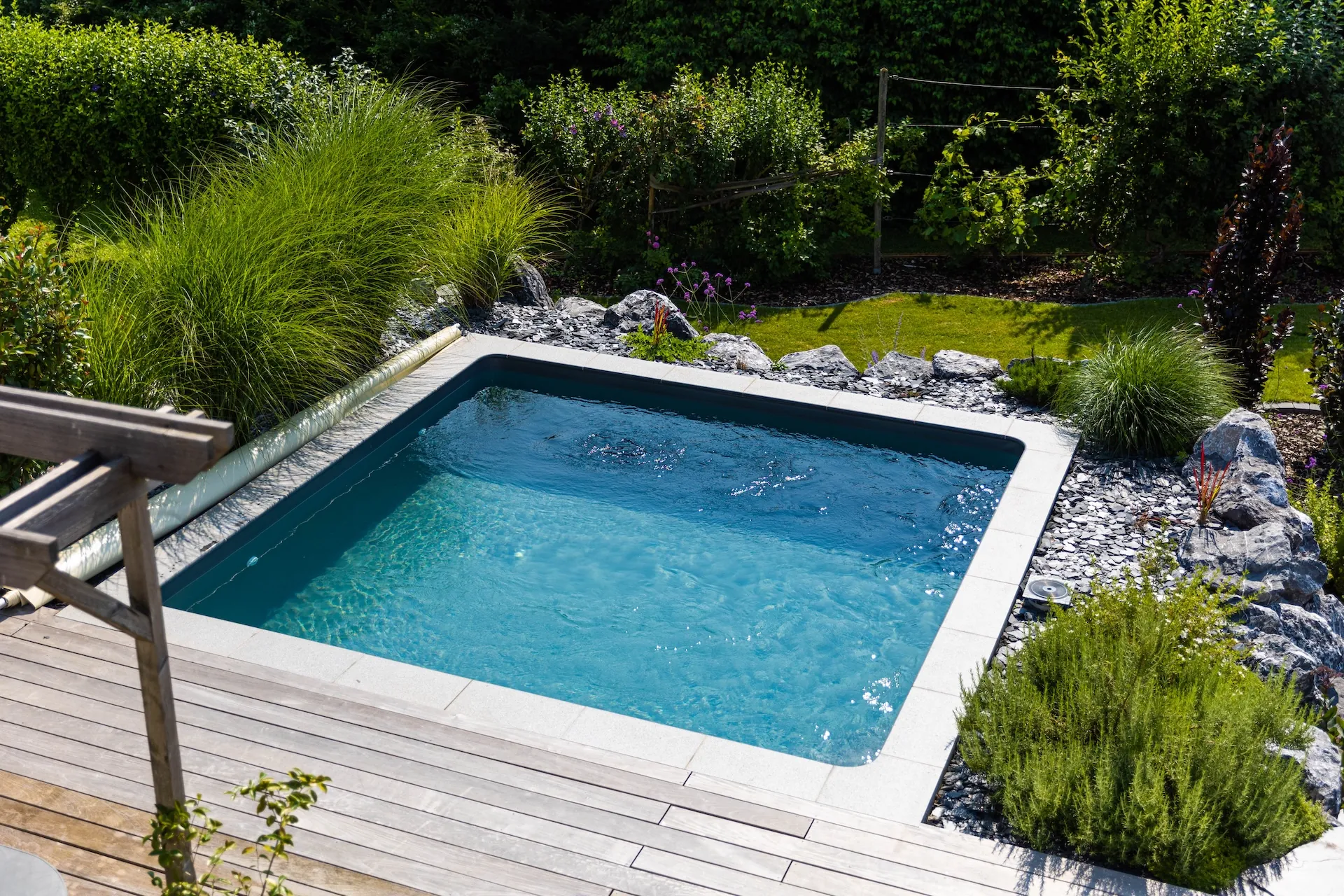 tom pousse paysage piscine aménagement extérieur gambsheim bas rhin