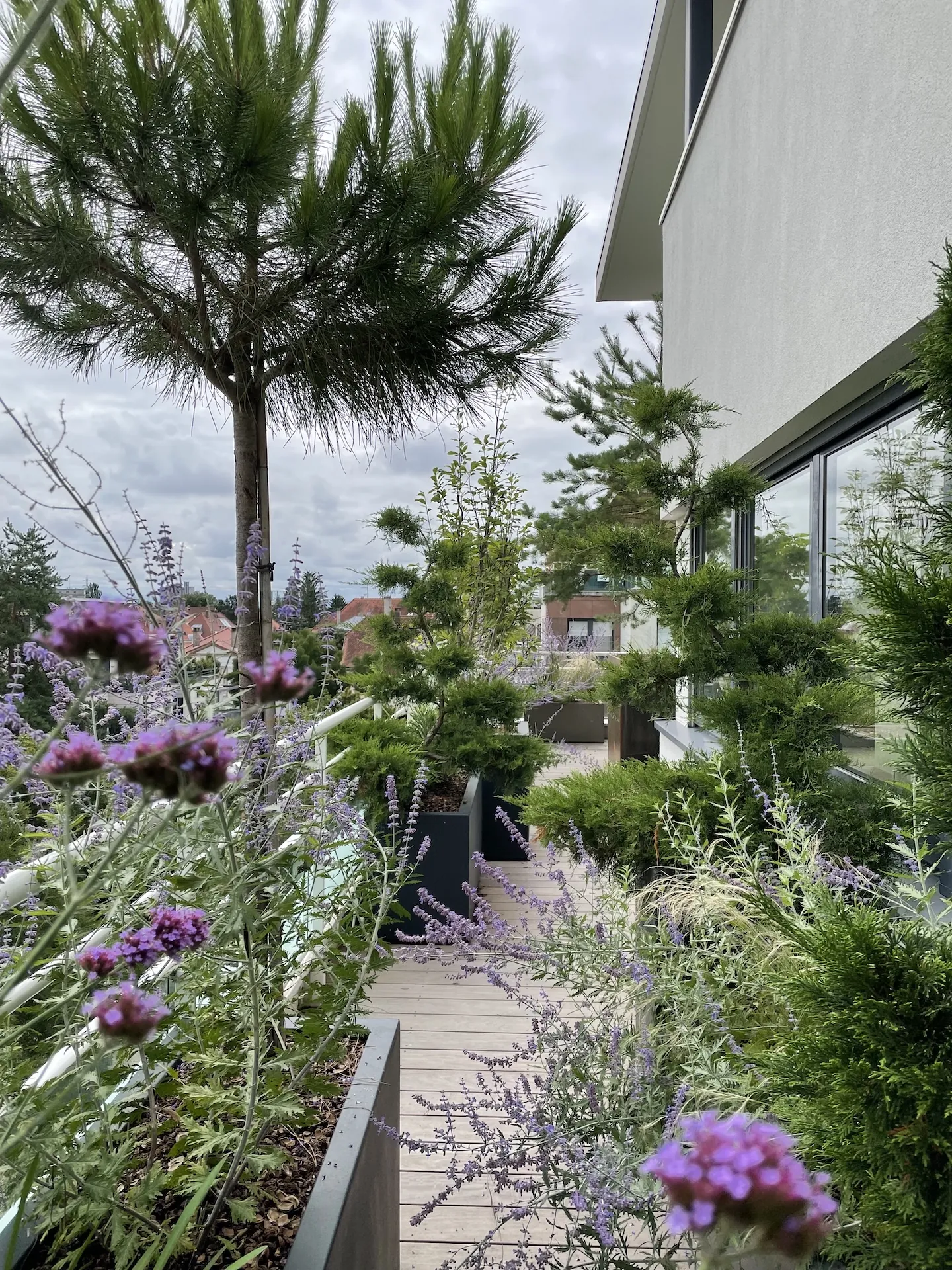 tom pousse paysage plantation bac attique