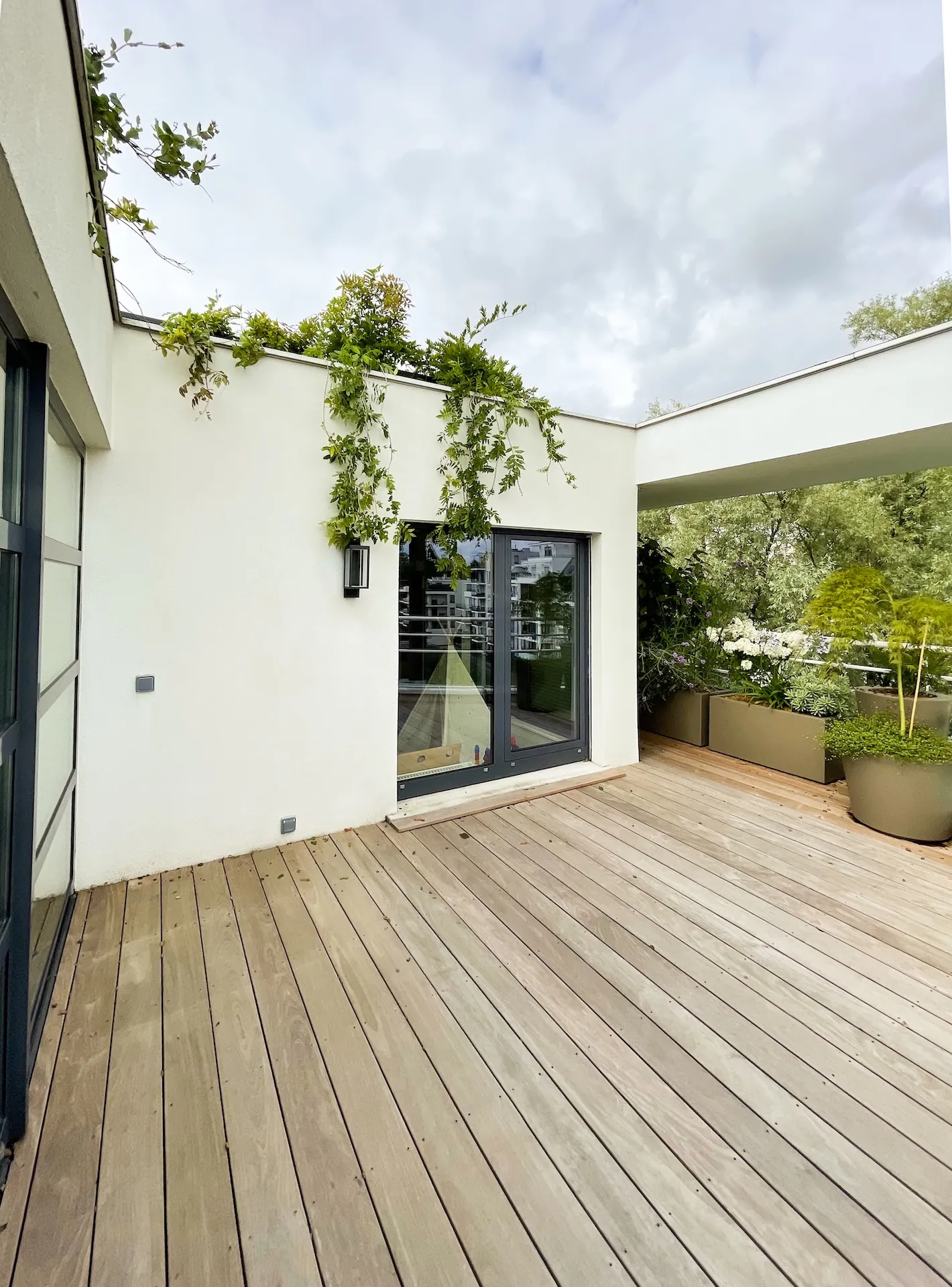 tom pousse paysage plantation glycine terrasse attique