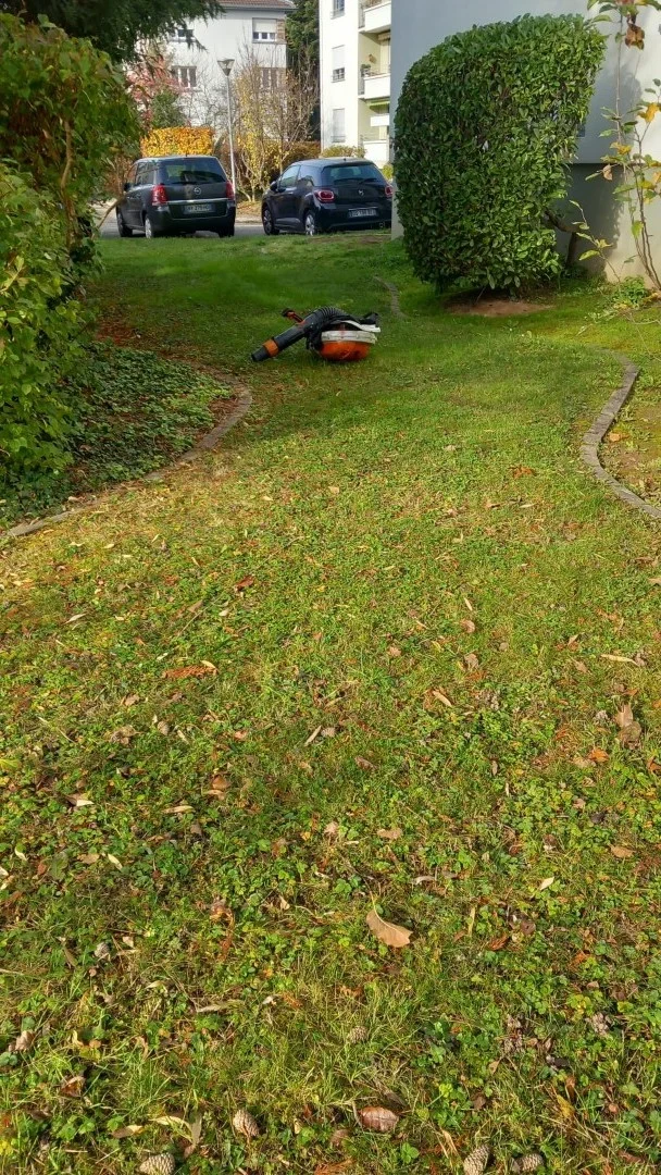 tom pousse paysage ramassage feuilles jardin pelouse entretien copropriété particuliers