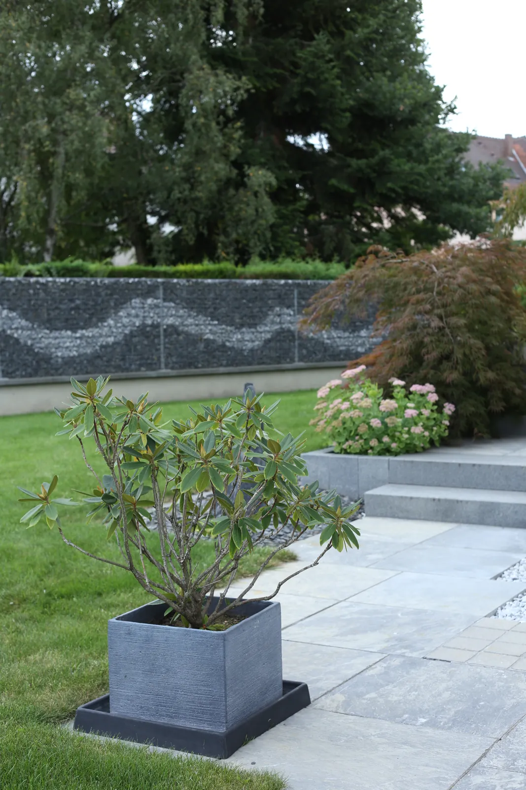 tom pousse paysage réalisation clôture gabions Illkirch