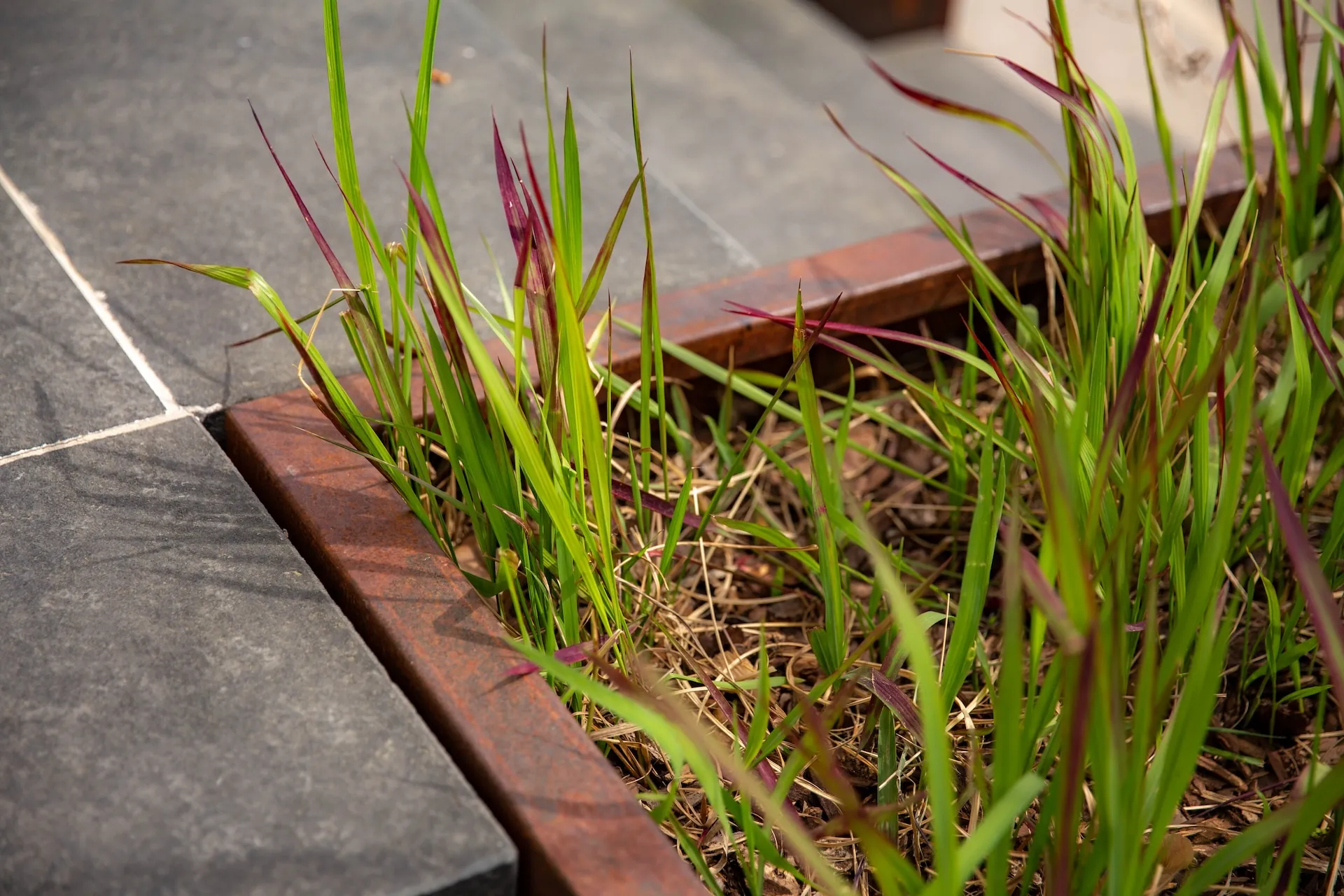 tom pousse paysage rénovation entrée pierre naturelle bac corten plantation