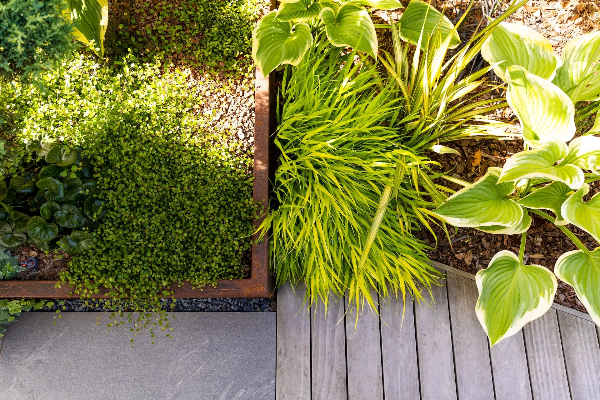 Image principale du projet