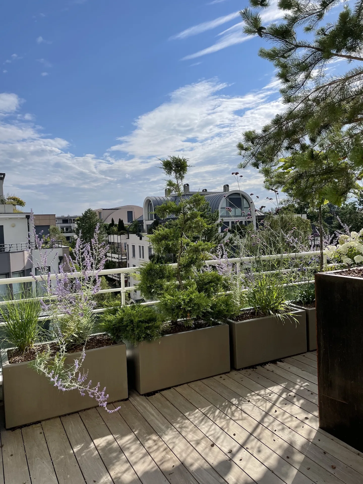 tom pousse paysage végétalisation bac plantation terrasse attique