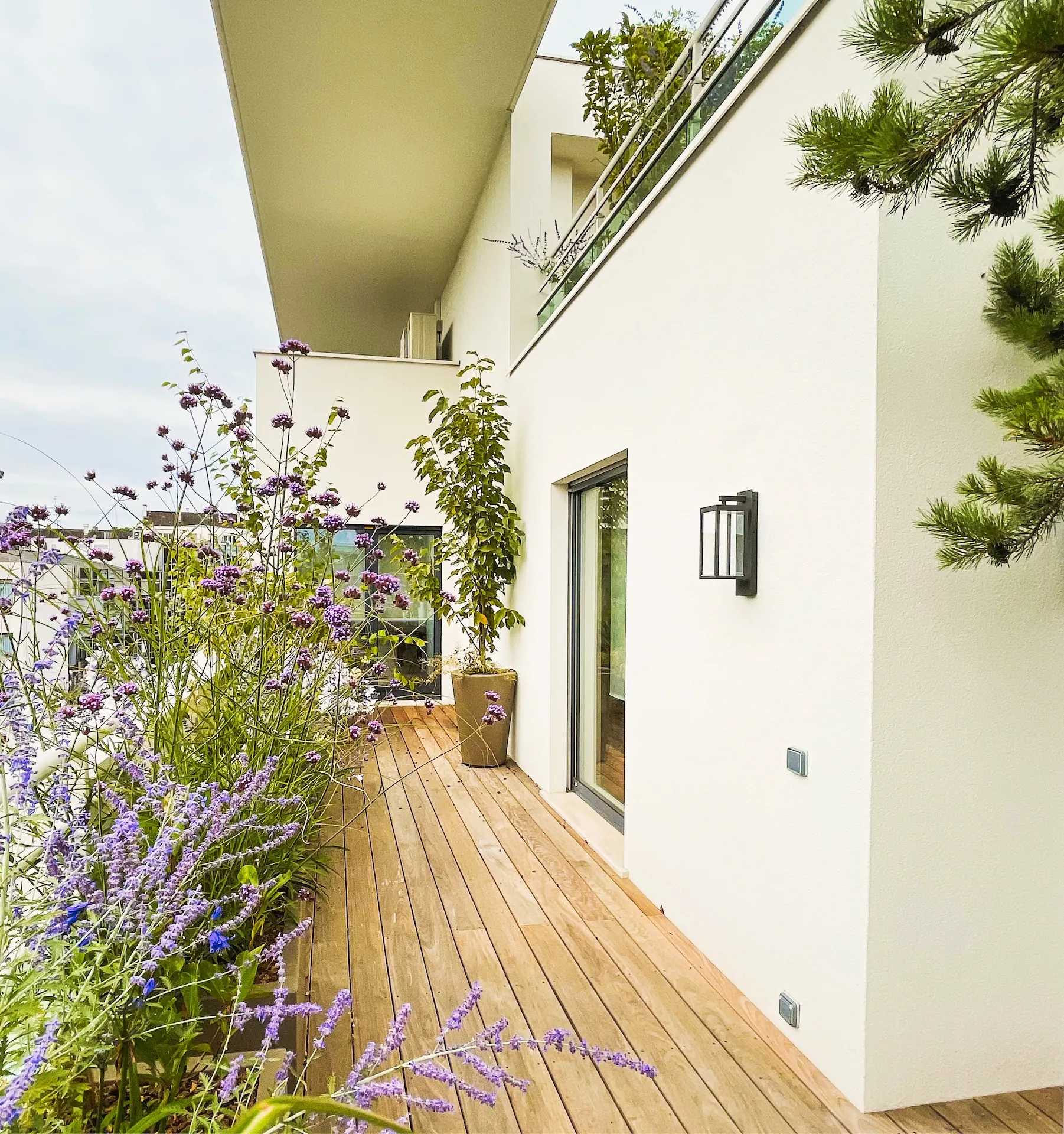 tom pousse paysage végétalisation terrasse bac plantations