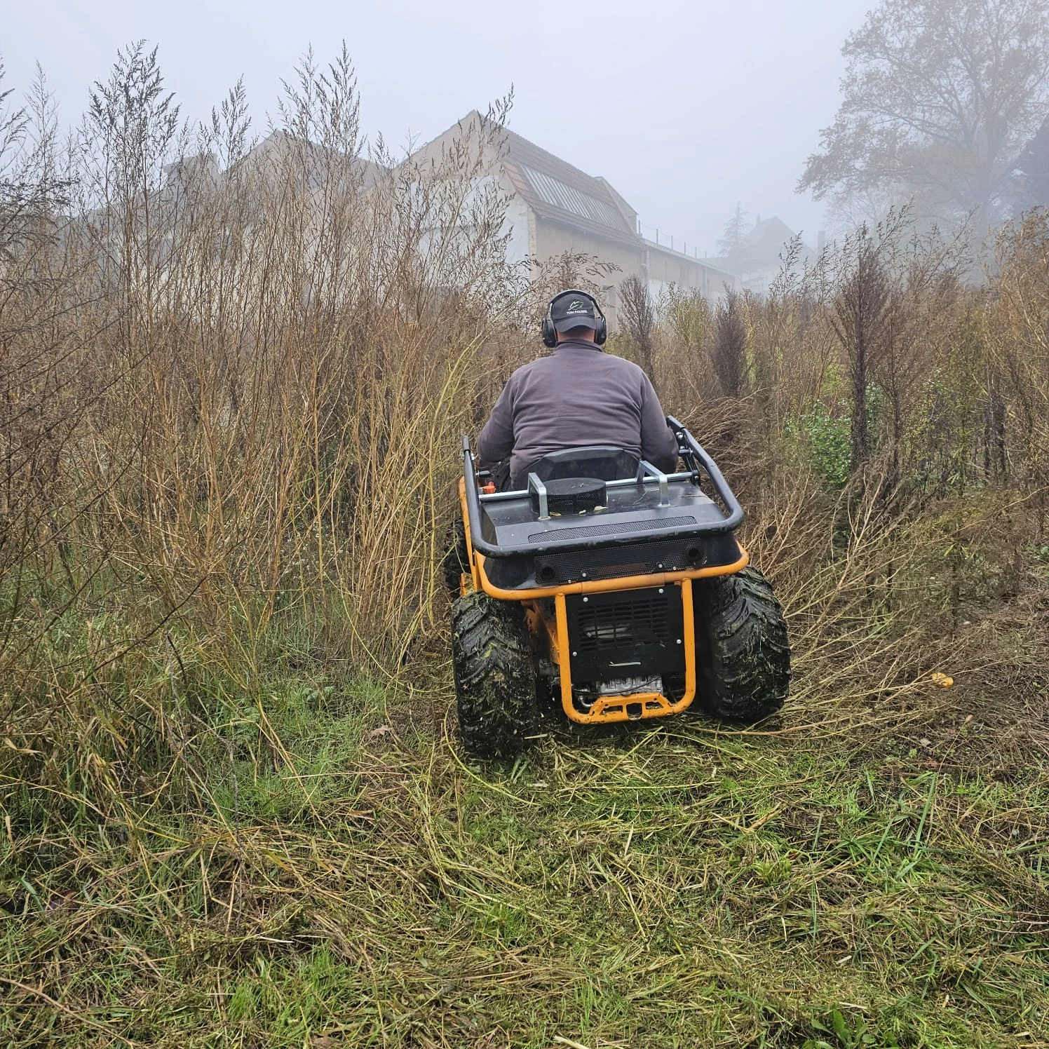 tom pousse paysgae fauchage site industriel entreprise alsace bas rhin intrevention professionnels