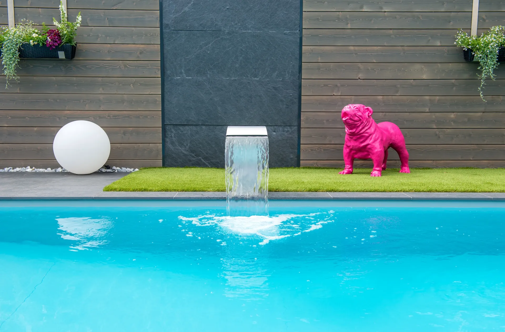 tom pousse pisciniste cascade tete cobra piscine 2 Image principale du projet