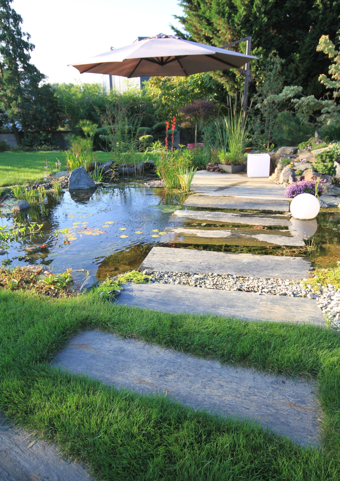 entretien bassin d’agrément jardin tom pousse paysage