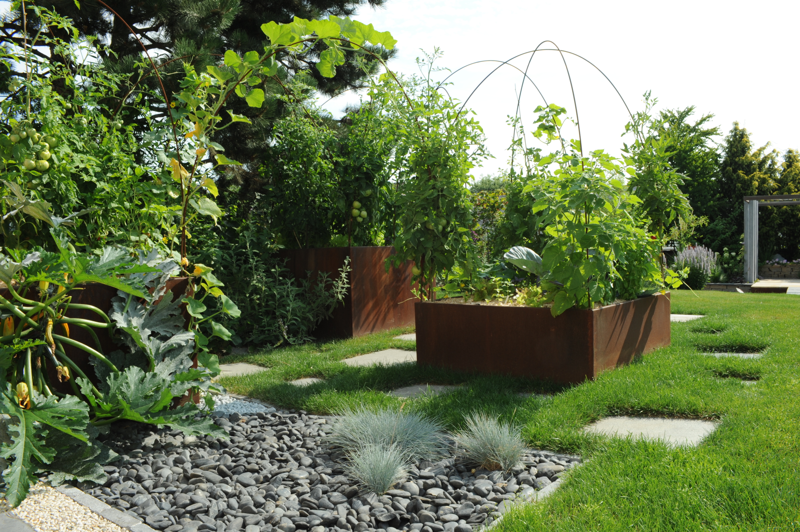 potager jardin