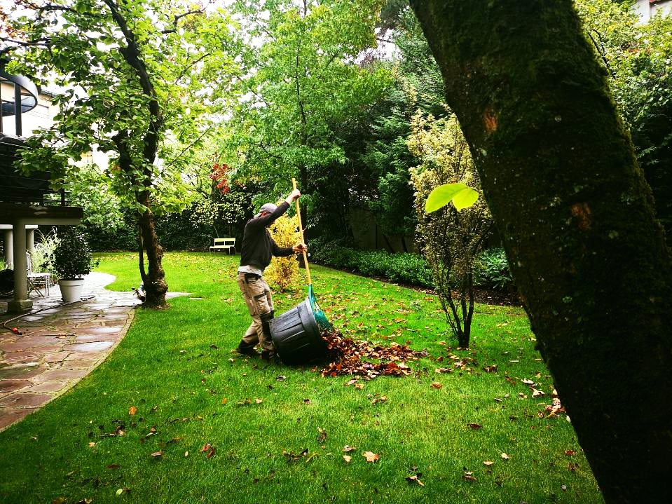 entretien du jardin automne paysagiste ramassage de feuilles bas rhin