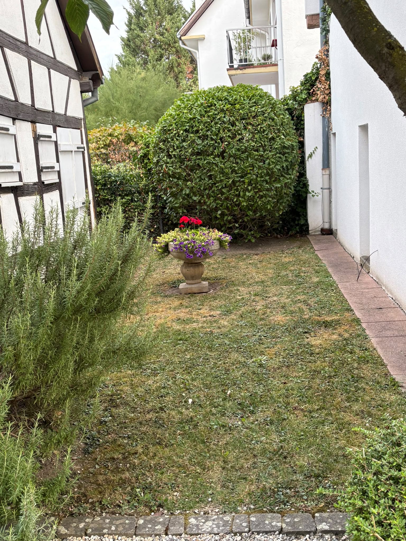 diagnostic jardin avant hiver